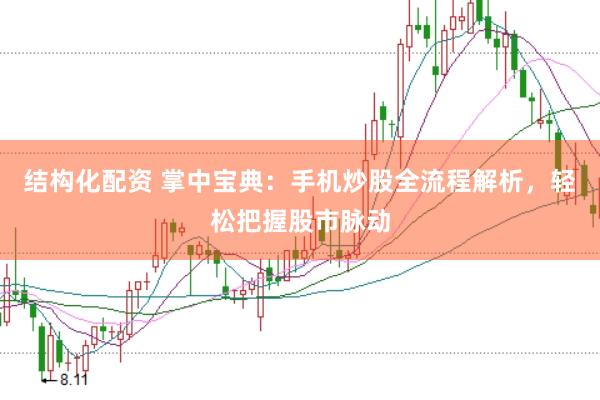 结构化配资 掌中宝典：手机炒股全流程解析，轻松把握股市脉动