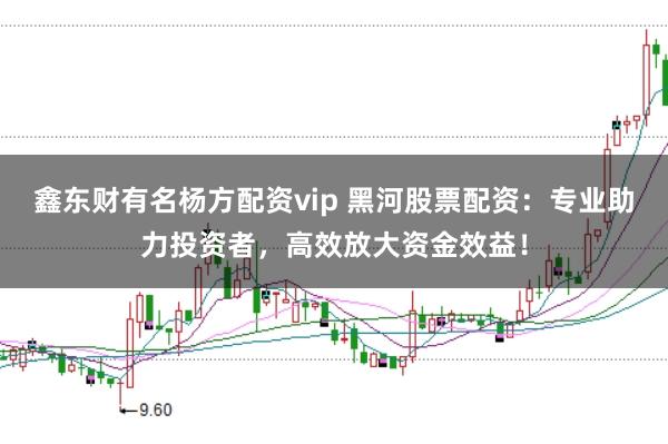 鑫东财有名杨方配资vip 黑河股票配资：专业助力投资者，高效放大资金效益！