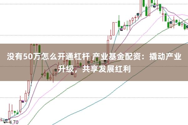 没有50万怎么开通杠杆 产业基金配资：撬动产业升级，共享发展红利