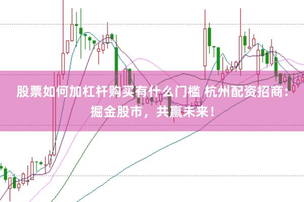 股票如何加杠杆购买有什么门槛 杭州配资招商：掘金股市，共赢未来！