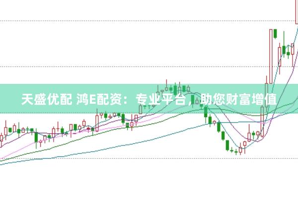 天盛优配 鸿E配资：专业平台，助您财富增值