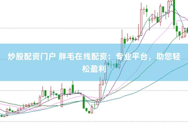 炒股配资门户 胖毛在线配资：专业平台，助您轻松盈利