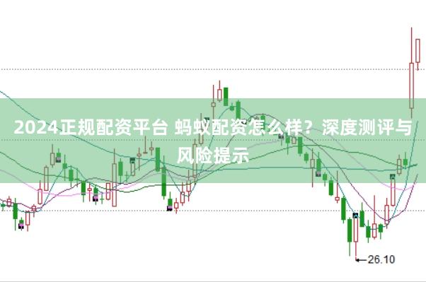 2024正规配资平台 蚂蚁配资怎么样？深度测评与风险提示