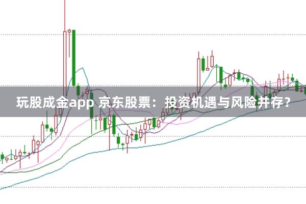 玩股成金app 京东股票：投资机遇与风险并存？