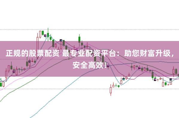 正规的股票配资 最专业配资平台：助您财富升级，安全高效！