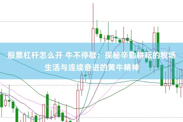 股票杠杆怎么开 牛不停歇：探秘辛勤耕耘的牧场生活与连续奋进的黄牛精神