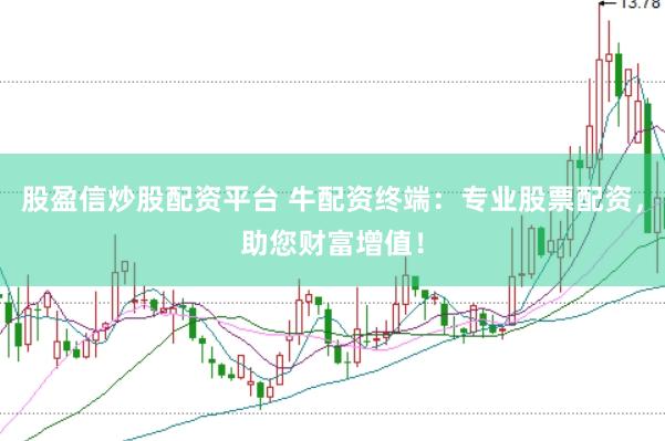 股盈信炒股配资平台 牛配资终端：专业股票配资，助您财富增值！