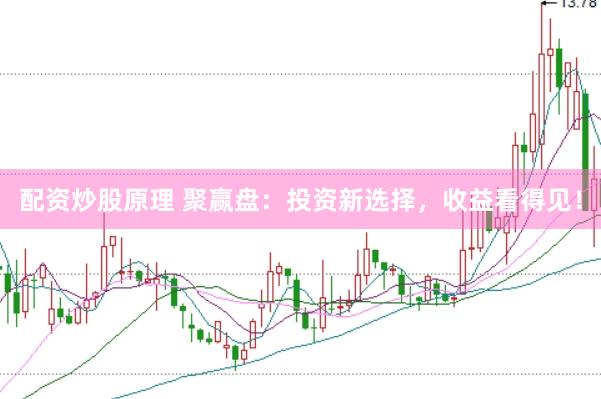 配资炒股原理 聚赢盘：投资新选择，收益看得见！