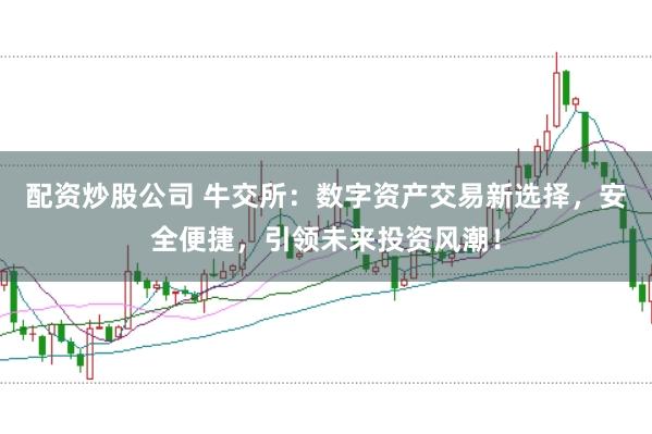 配资炒股公司 牛交所：数字资产交易新选择，安全便捷，引领未来投资风潮！