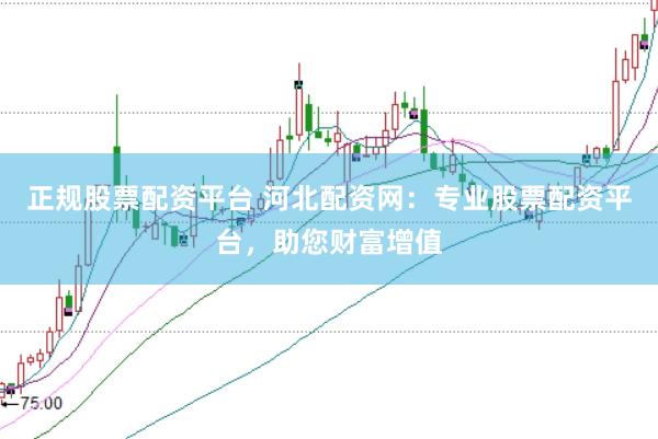 正规股票配资平台 河北配资网：专业股票配资平台，助您财富增值