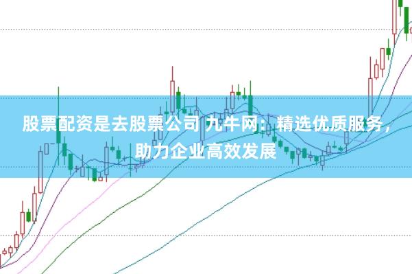 股票配资是去股票公司 九牛网：精选优质服务，助力企业高效发展