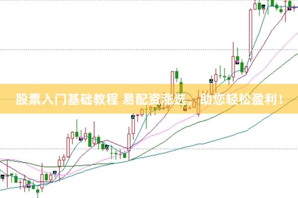 股票入门基础教程 易配资涨选，助您轻松盈利！