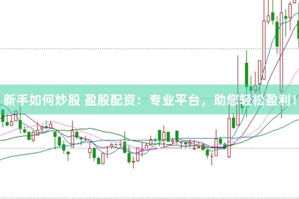 新手如何炒股 盈股配资：专业平台，助您轻松盈利！
