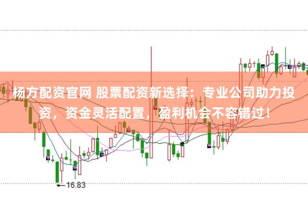 杨方配资官网 股票配资新选择：专业公司助力投资，资金灵活配置，盈利机会不容错过！
