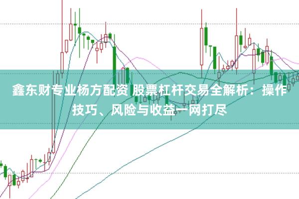 鑫东财专业杨方配资 股票杠杆交易全解析：操作技巧、风险与收益一网打尽