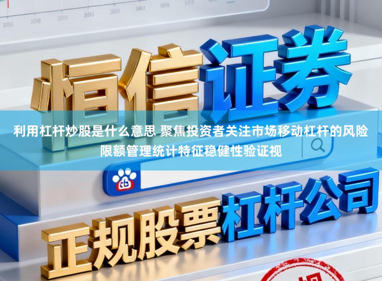 利用杠杆炒股是什么意思 聚焦投资者关注市场移动杠杆的风险限额管理统计特征稳健性验证视