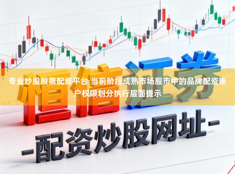 专业炒股股票配资平台 当前阶段成熟市场股市中的品牌配资账户权限划分执行层面提示