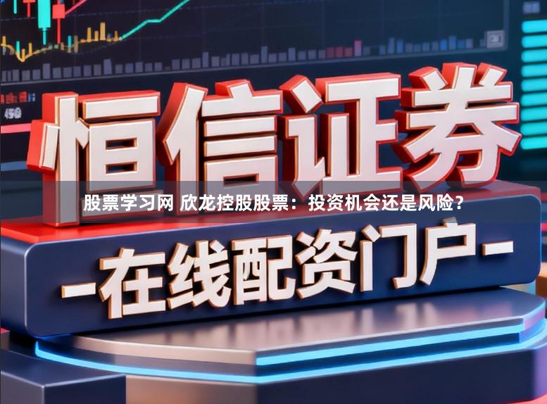 股票学习网 欣龙控股股票：投资机会还是风险？